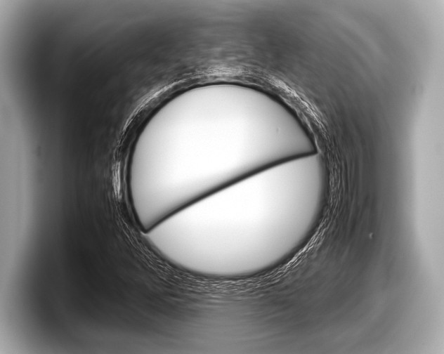 X0000099231262200804241222