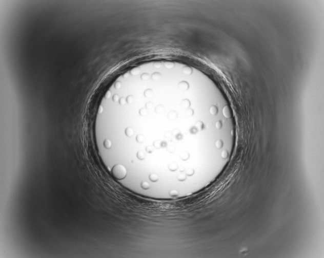 X0000099231263200804241222