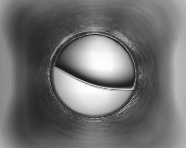 X0000099231264200804241222
