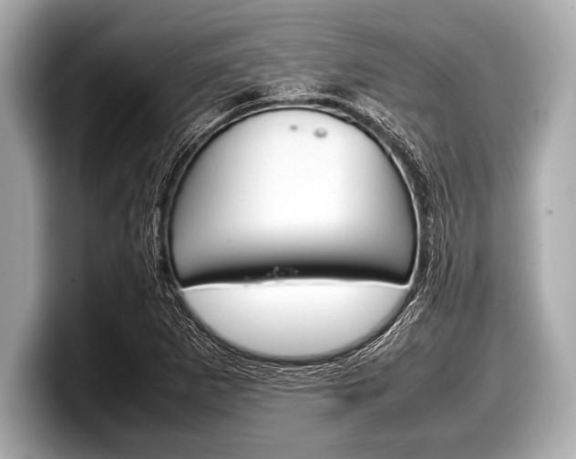 X0000099231265200804241222