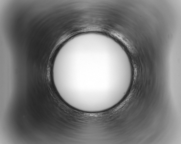 X0000099231266200804241222