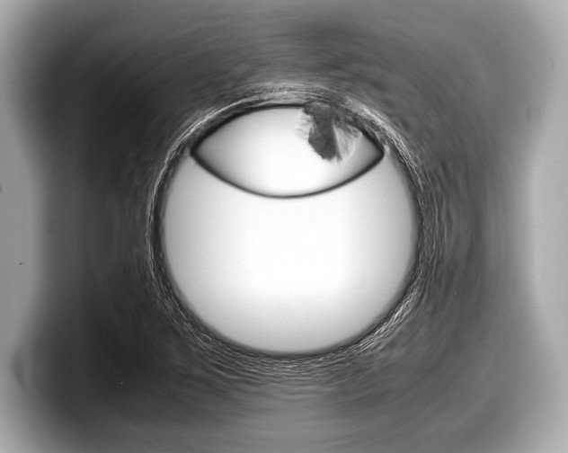 X0000099231267200804241222
