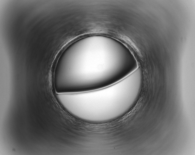 X0000099231268200804241222
