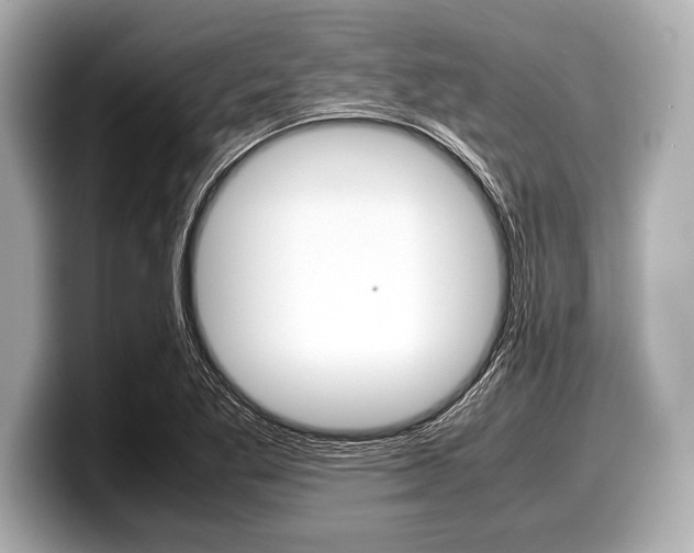 X0000099231269200804241222