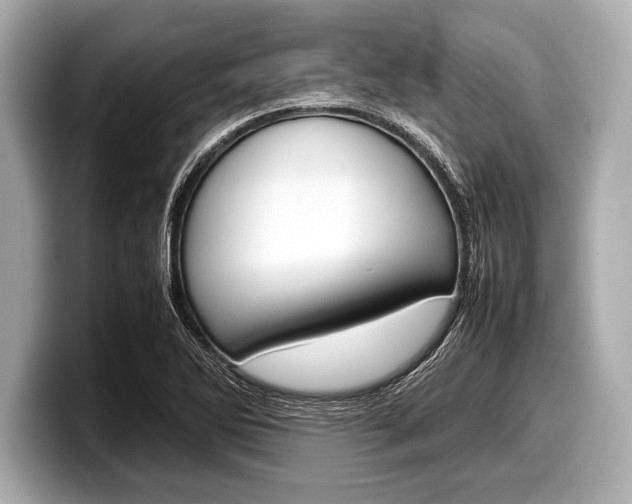X0000099231270200804241222
