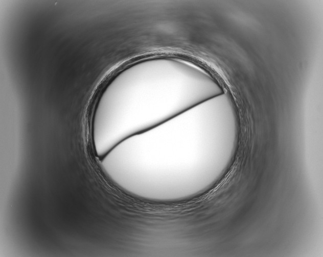 X0000099231271200804241222