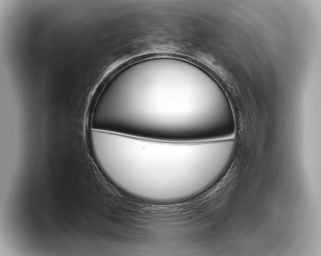 X0000099231272200804241222
