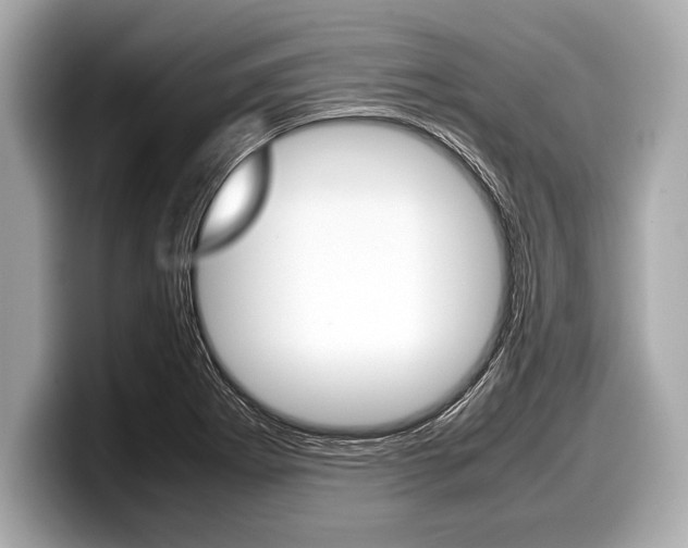 X0000099231273200804241222