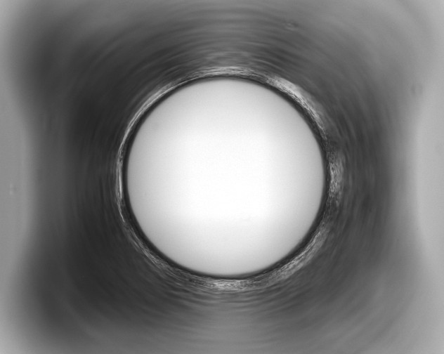 X0000099231274200804241222