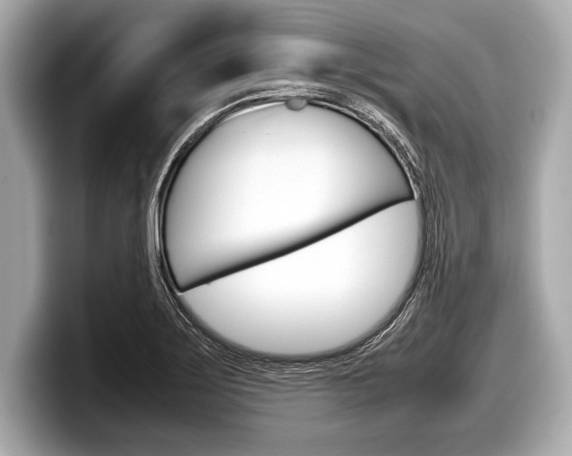 X0000099231275200804241222