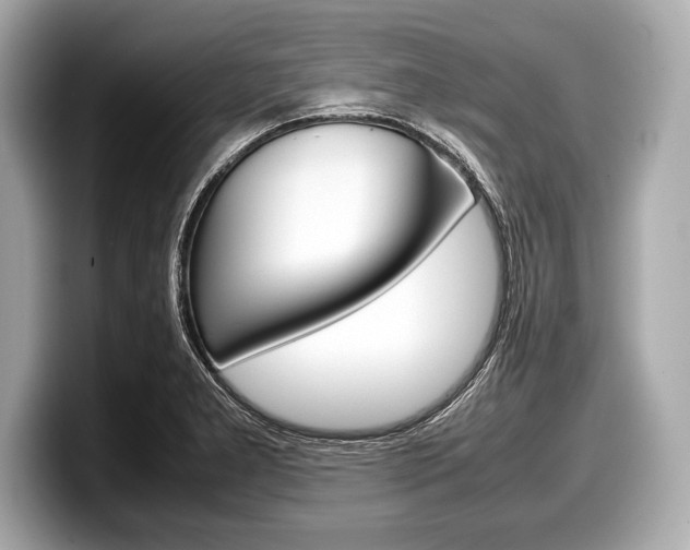 X0000099231277200804241222