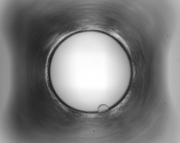 X0000099231278200804241221
