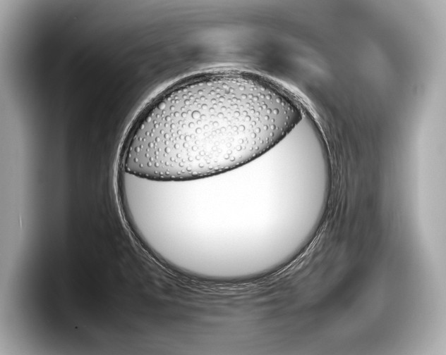 X0000099231279200804241221