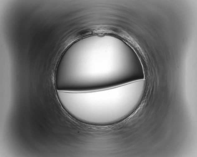 X0000099231281200804241221