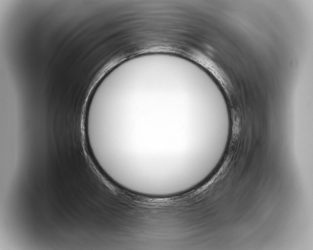 X0000099231282200804241221