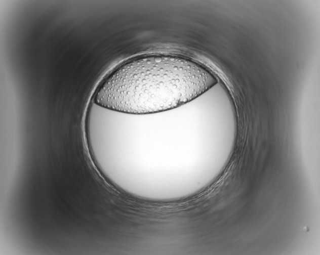 X0000099231283200804241221