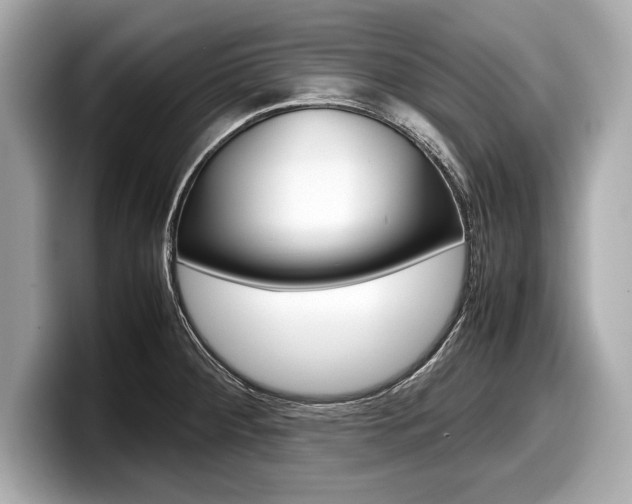 X0000099231284200804241221