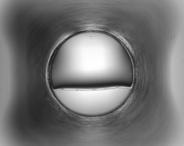 X0000099231285200804241221