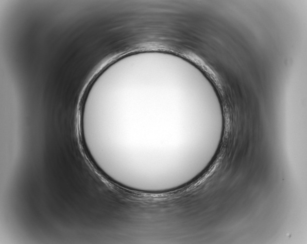 X0000099231286200804241221