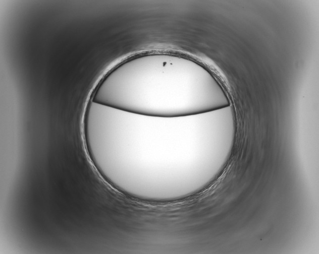 X0000099231287200804241221