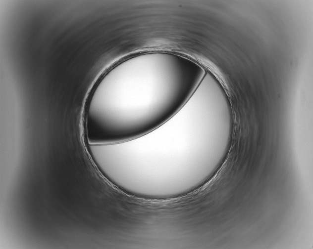 X0000099231288200804241221