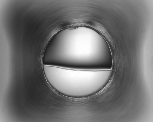X0000099231289200804241221