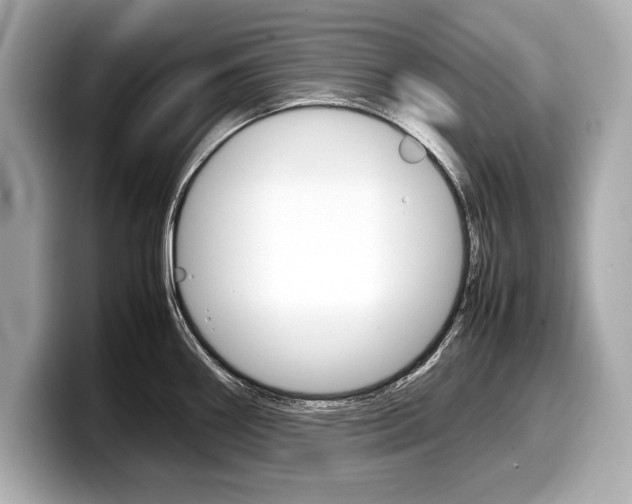 X0000099231290200804241221