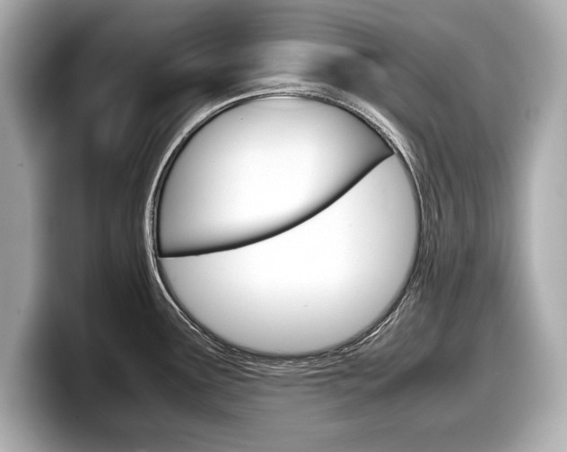 X0000099231291200804241221