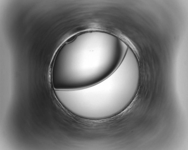 X0000099231292200804241221