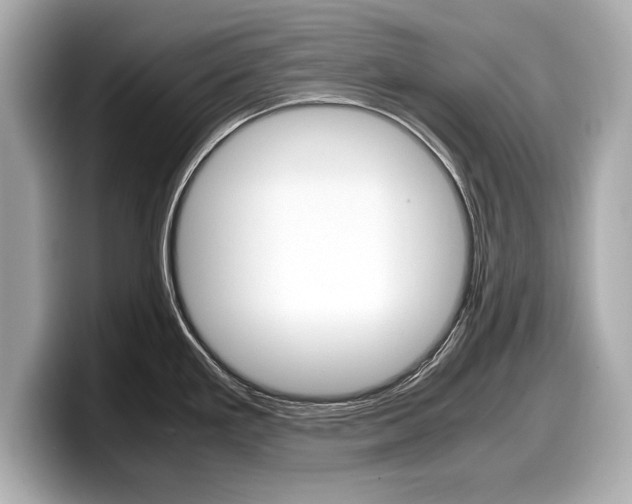 X0000099231293200804241221