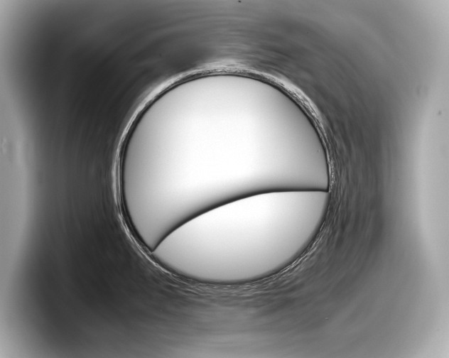 X0000099231295200804241221