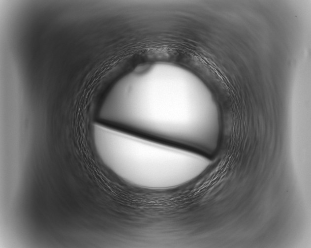 X0000099231297200804241221