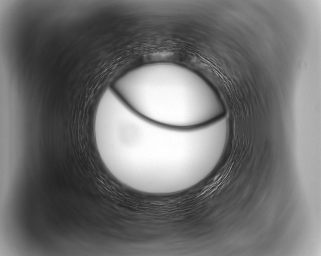 X0000099231299200804241221