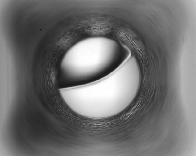 X0000099231300200804241221