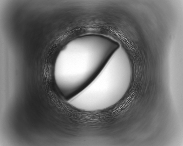 X0000099231301200804241221