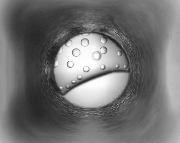 X0000099231302200804241221