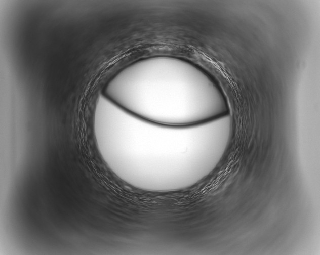 X0000099231303200804241221