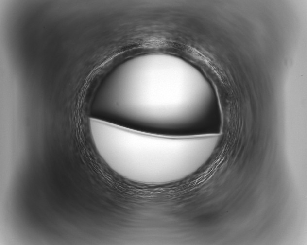 X0000099231304200804241221