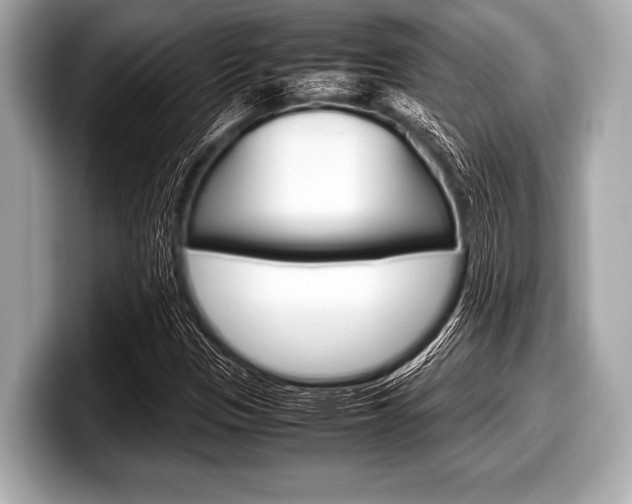 X0000099231305200804241221