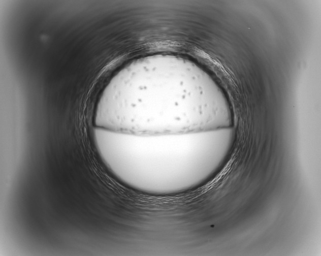 X0000099231306200804241221