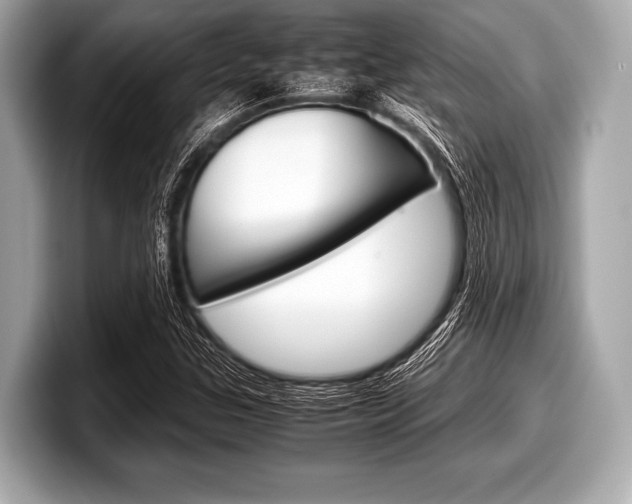 X0000099231307200804241221