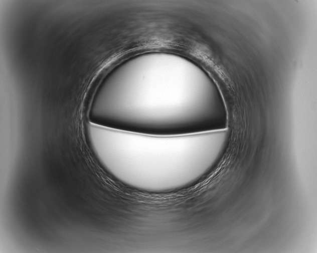 X0000099231308200804241221