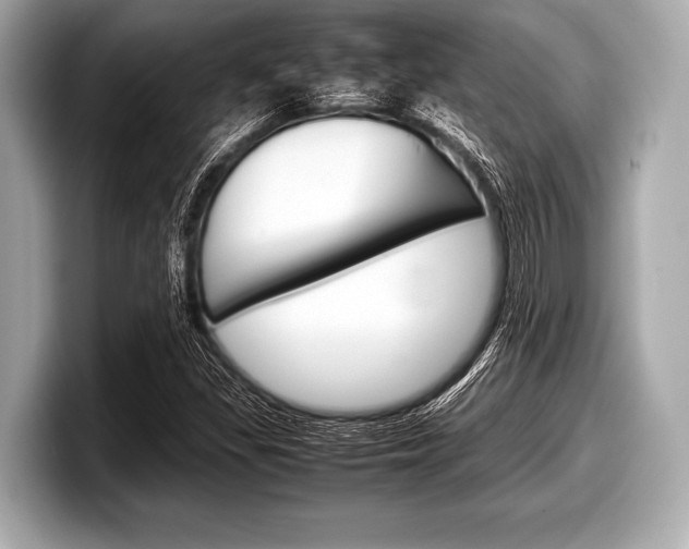 X0000099231309200804241221