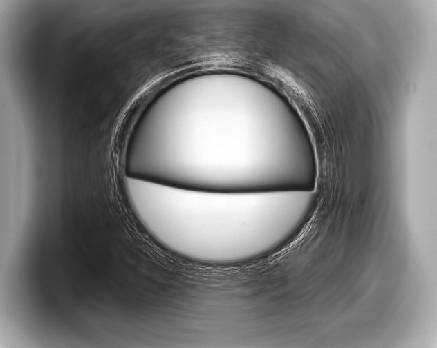 X0000099231310200804241221