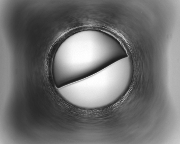 X0000099231311200804241221