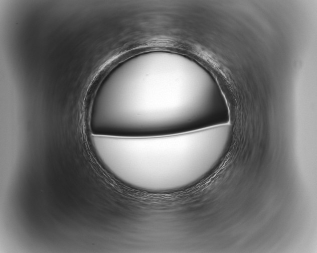 X0000099231312200804241221