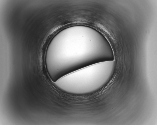 X0000099231315200804241221
