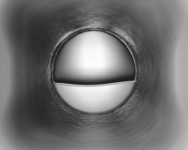 X0000099231316200804241221