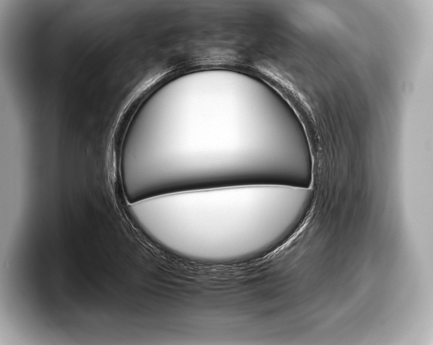 X0000099231317200804241221