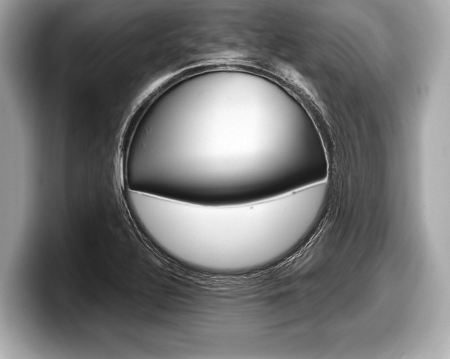 X0000099231320200804241221
